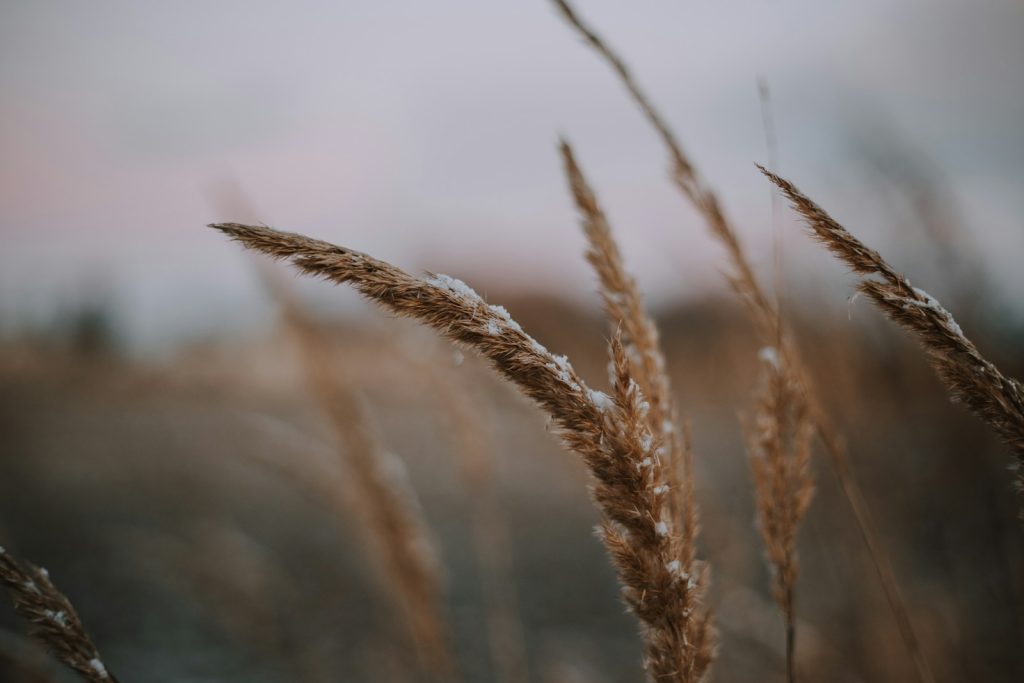 Mencegah ISPA saat Musim Kemarau